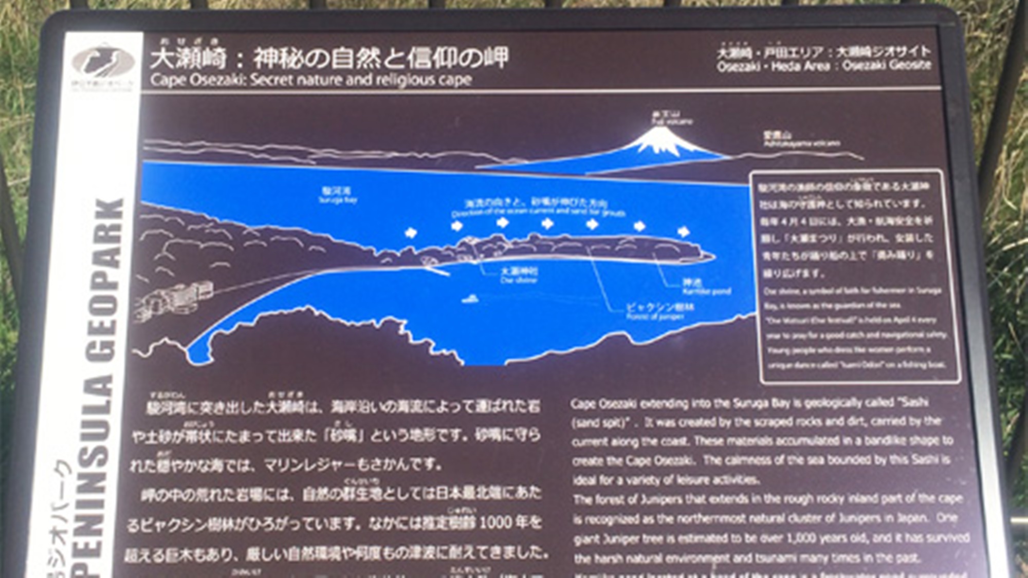 *大瀬崎／伊豆の景勝地としても有名な大瀬崎。神秘の自然と信仰の岬と呼ばれています。