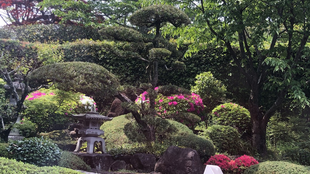 【当宿からの景観】つつじが咲く中庭(5月頃)