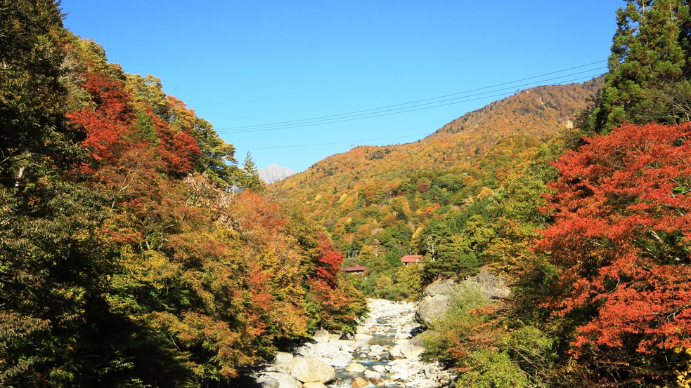 紅葉の秋