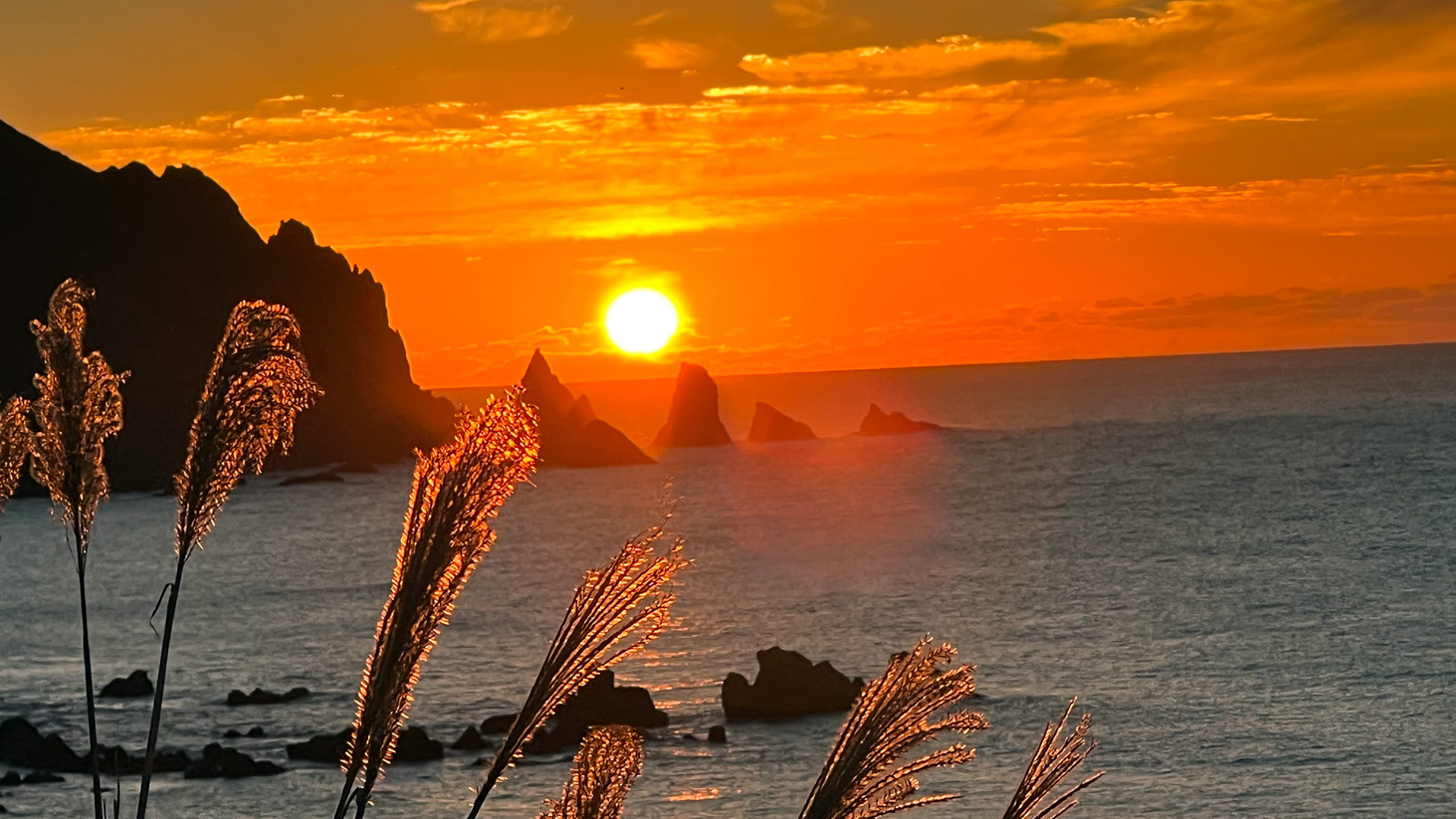 日本海に沈む夕陽を見送るすすき
