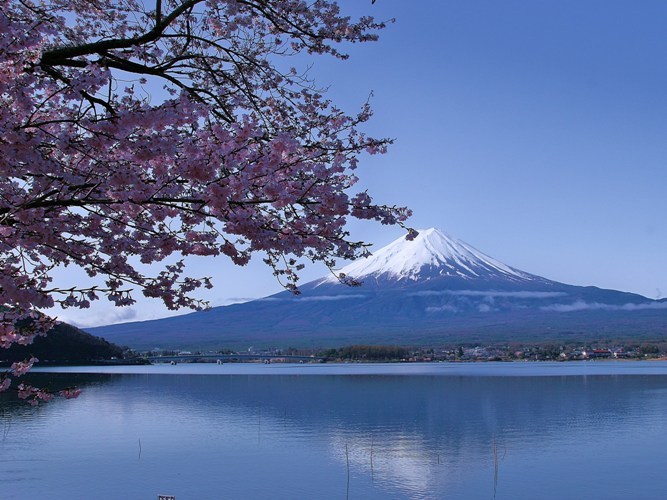春の富士山