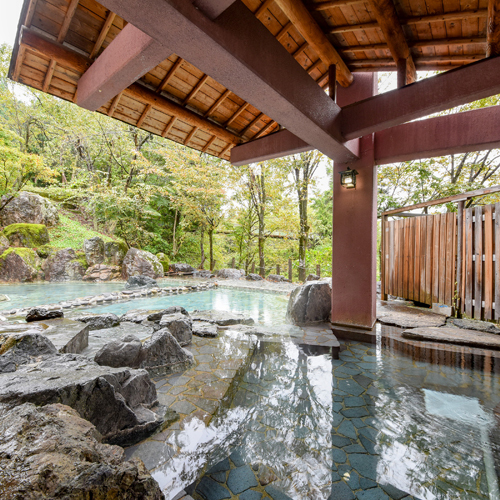 Yunotani Onsenkyo Hotel Yunotaniso Main Image Yunotani Onsenkyo Hotel Yunotaniso, Uonuma