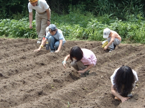 2photo1