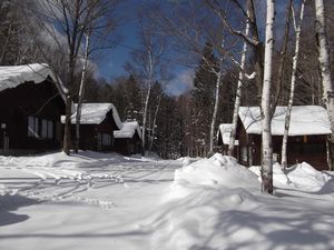 冬のＣコテージ（イメージ）