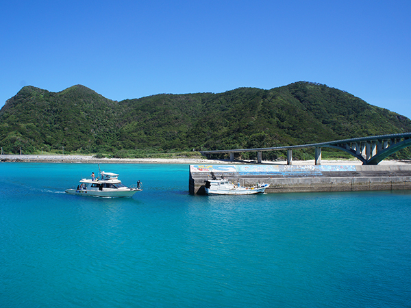 阿嘉島港