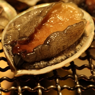 Tateyama Onsen Oshisashiminoyado Tarobe Main Image Tateyama Onsen Oshisashiminoyado Tarobe, Tateyama