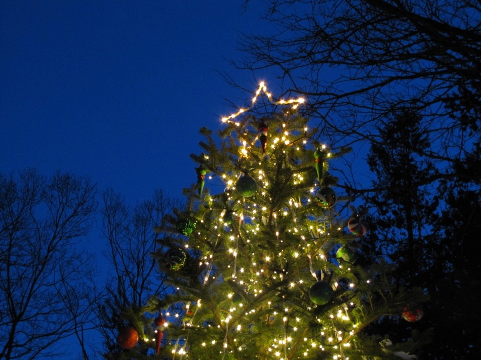 アメリーハウス軽井沢のクリスマスツリー
