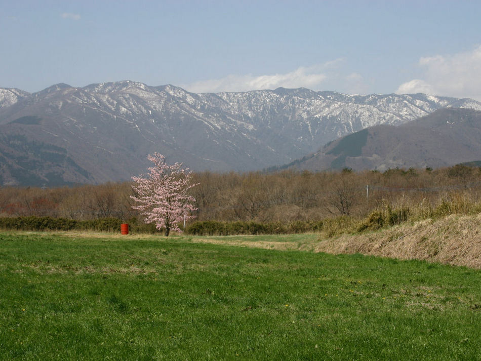 コテージからの景色