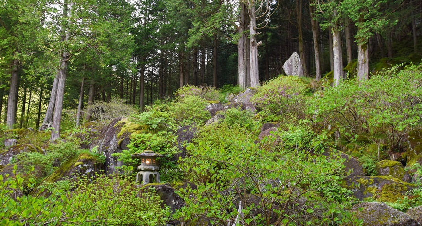 *【中庭】130万年前に噴出した溶岩石がゴロゴロと積み重なり、苔や緑の木々に彩られています。