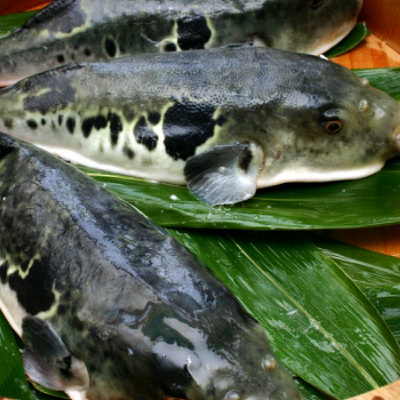 Iwaya Onsen Tankaiso (Awajishima)