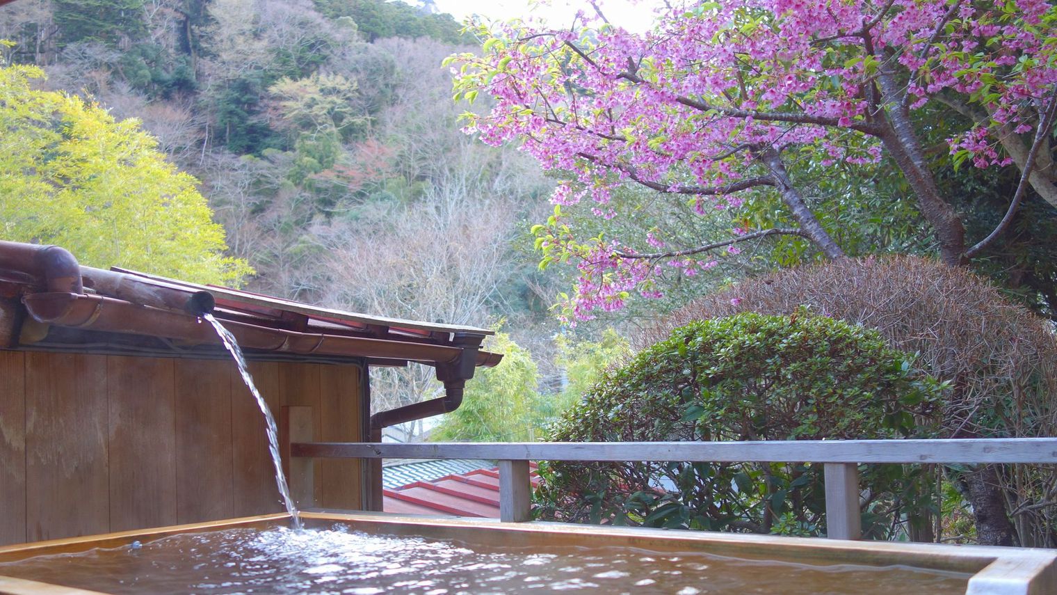 風呂：貸切露天「子宝の湯」