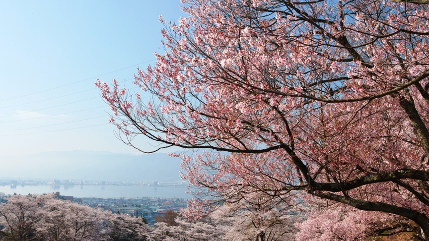 水月公園