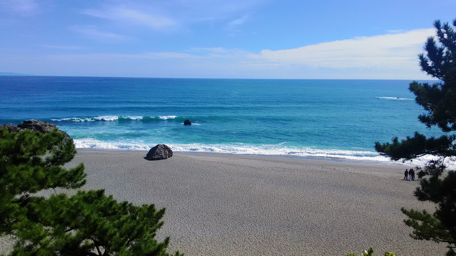 桂浜