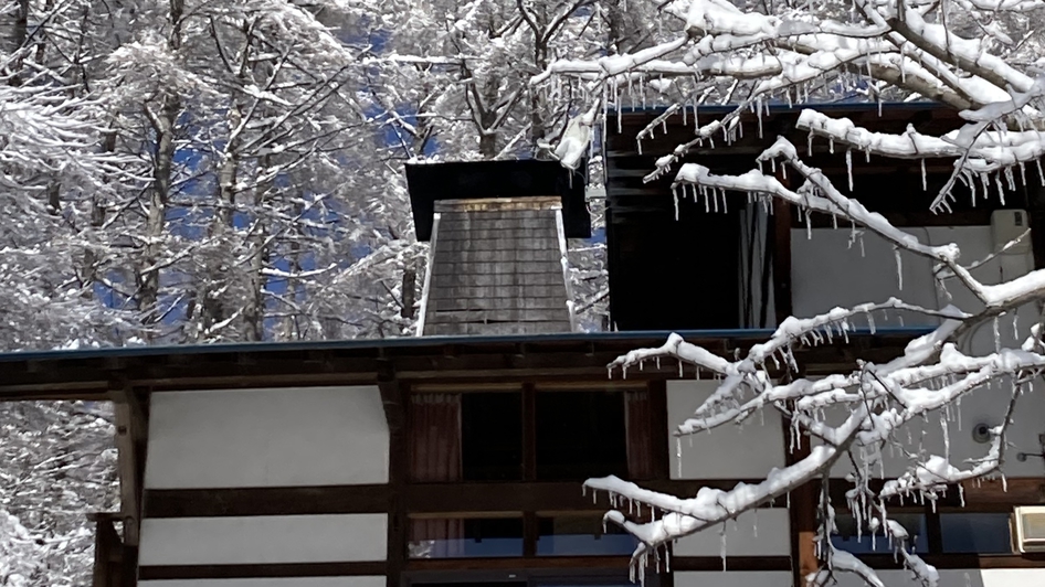 *[風景]細かなつららが木々に付着する「雨氷」という珍しい現象、運が良ければ見られるかもしれません