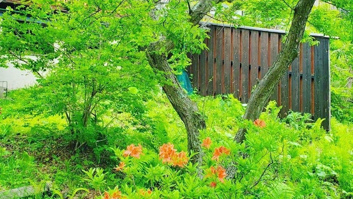 *［風景］自然に囲まれた当館の周りでは珍しい植物や木がたくさん！散策をお楽しみください。