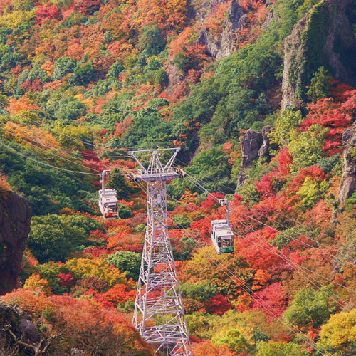 寒霞渓ロープウェー｜紅葉シーズンは山全体が秋色に♪