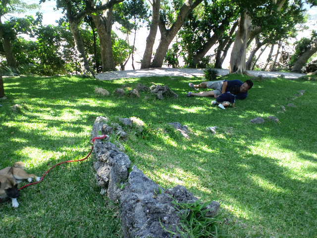 川平公園④芝生