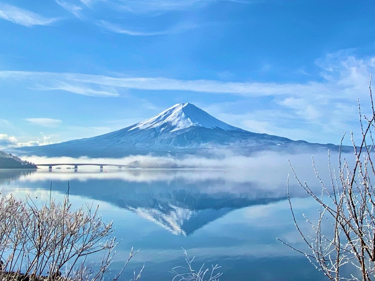 樹氷と逆さ富士/北岸ウォーキングトレイルにて−20210126