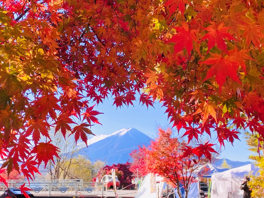 紅葉回廊と富士山