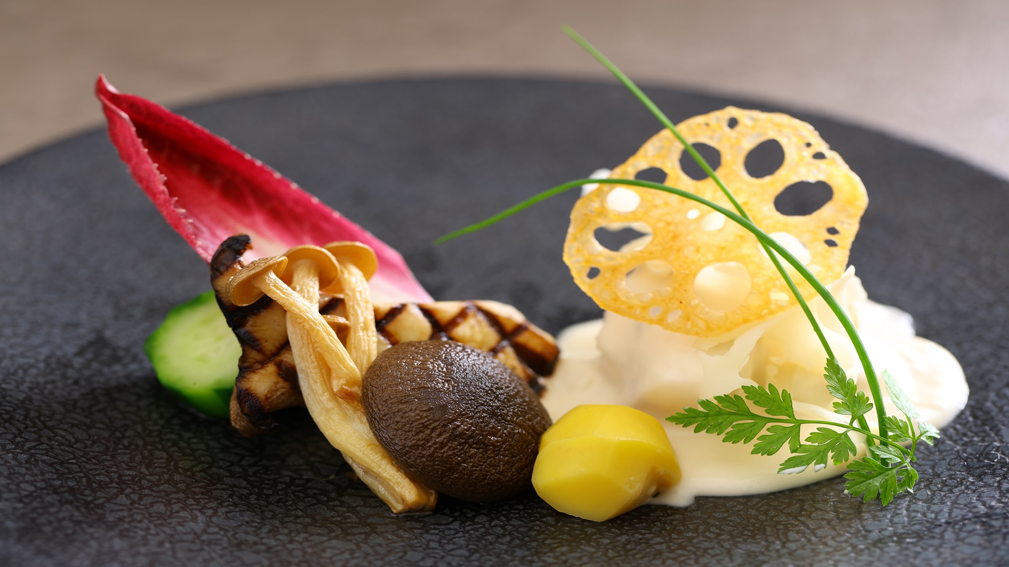 【極み会席】豪華食材や土鍋御飯が付いた会席料理