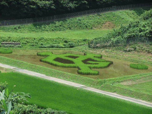 ジャイアンツ田んぼ