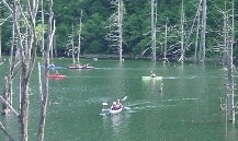 自然湖のカヌー