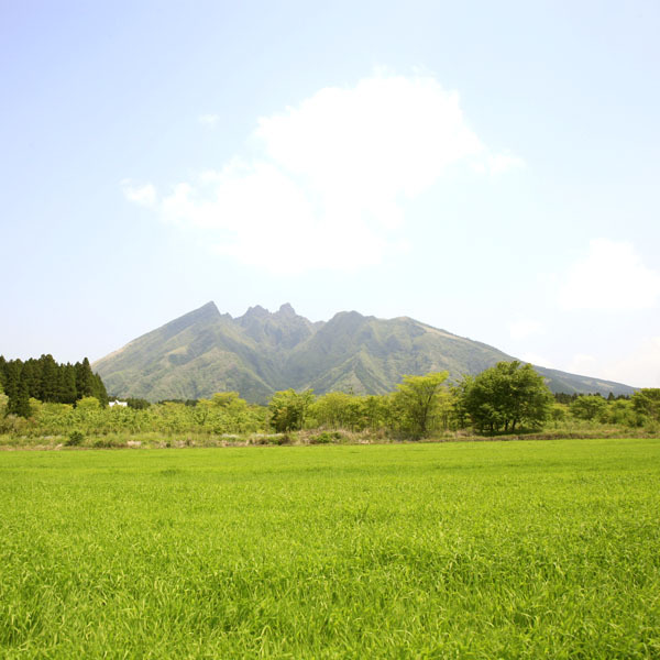Stone House Inn Camello Image 5, Aso, Japan