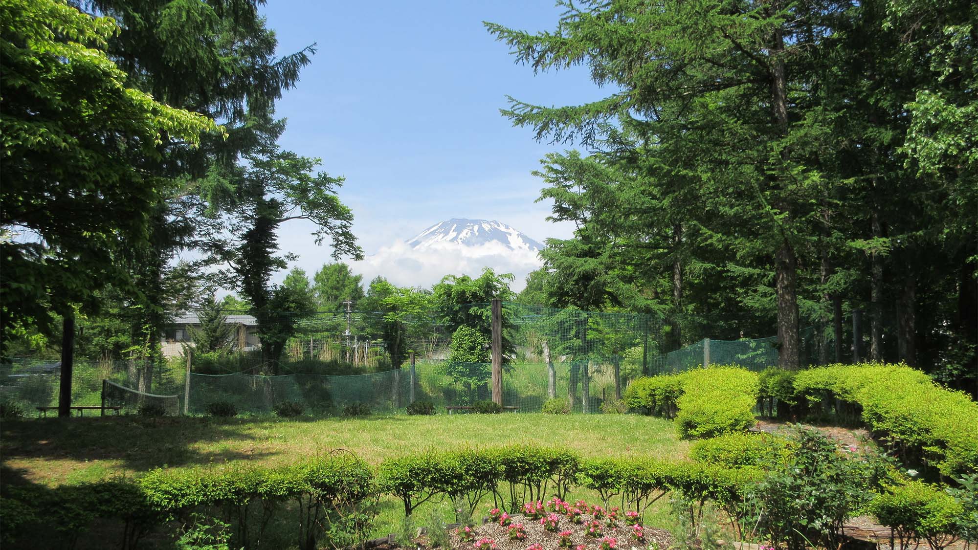 庭からの富士山