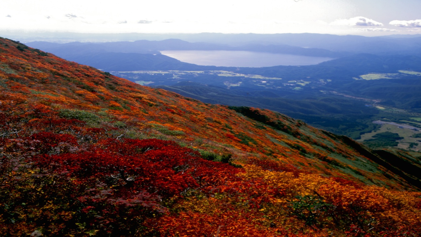 秋田駒ヶ岳紅葉