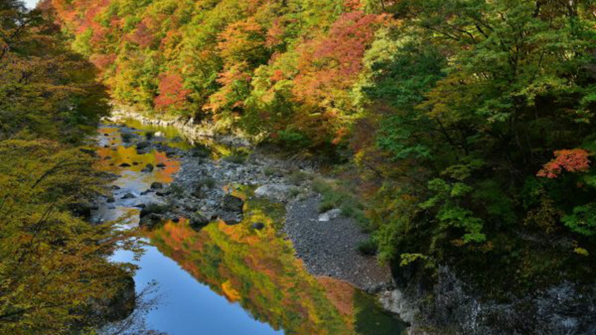 抱き返り渓谷の紅葉