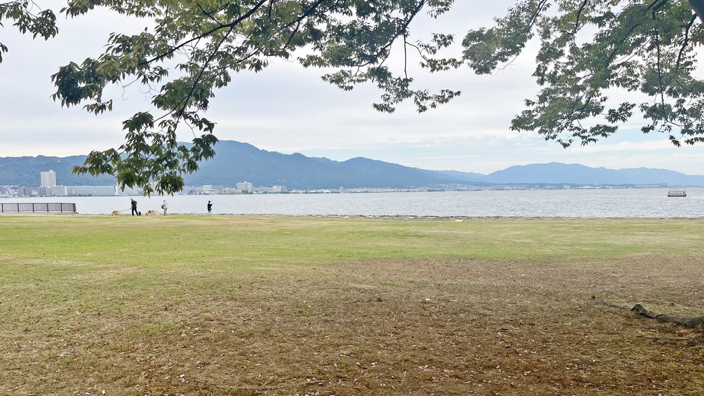 *当館を出てすぐ、横断歩道を渡ると湖岸の芝生広場がございます。お散歩やピクニックなど最高ですよ♪