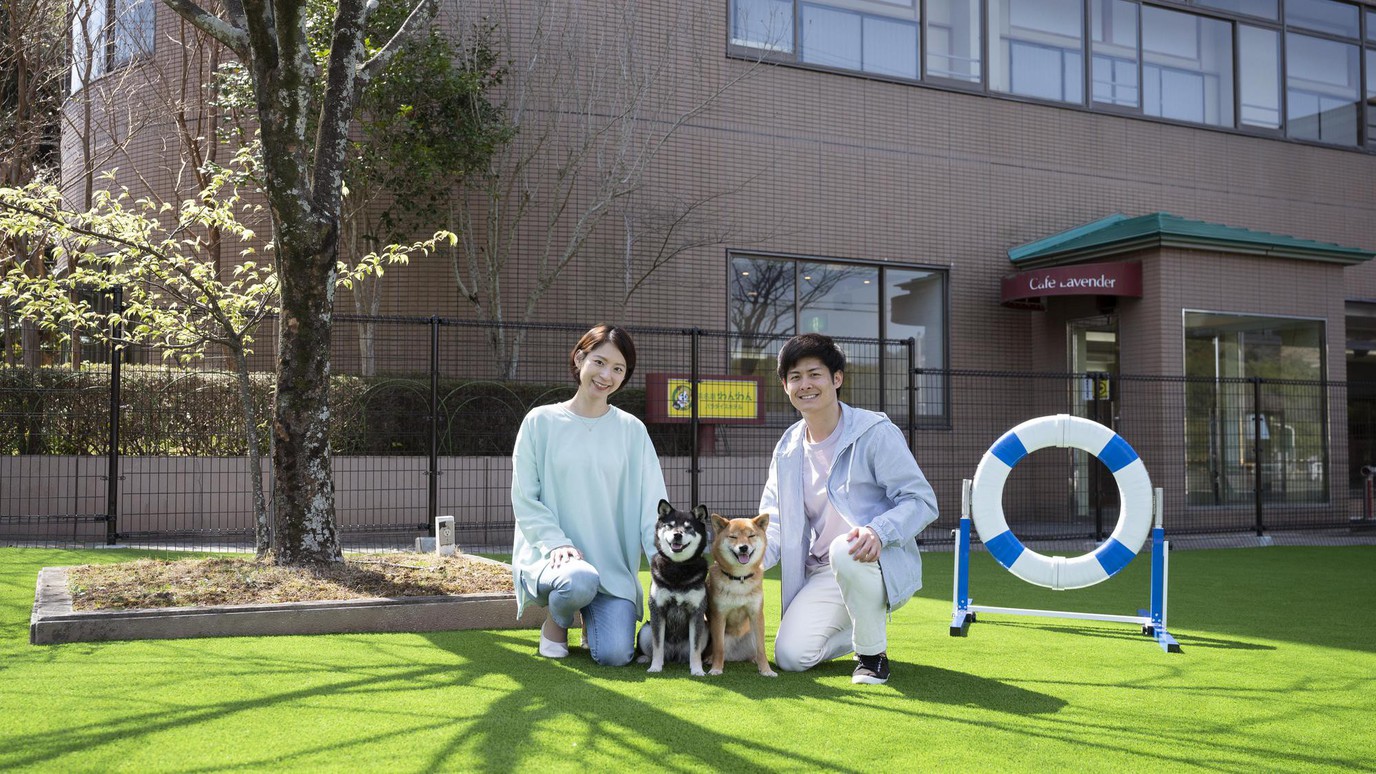 dog park ：利用イメージ