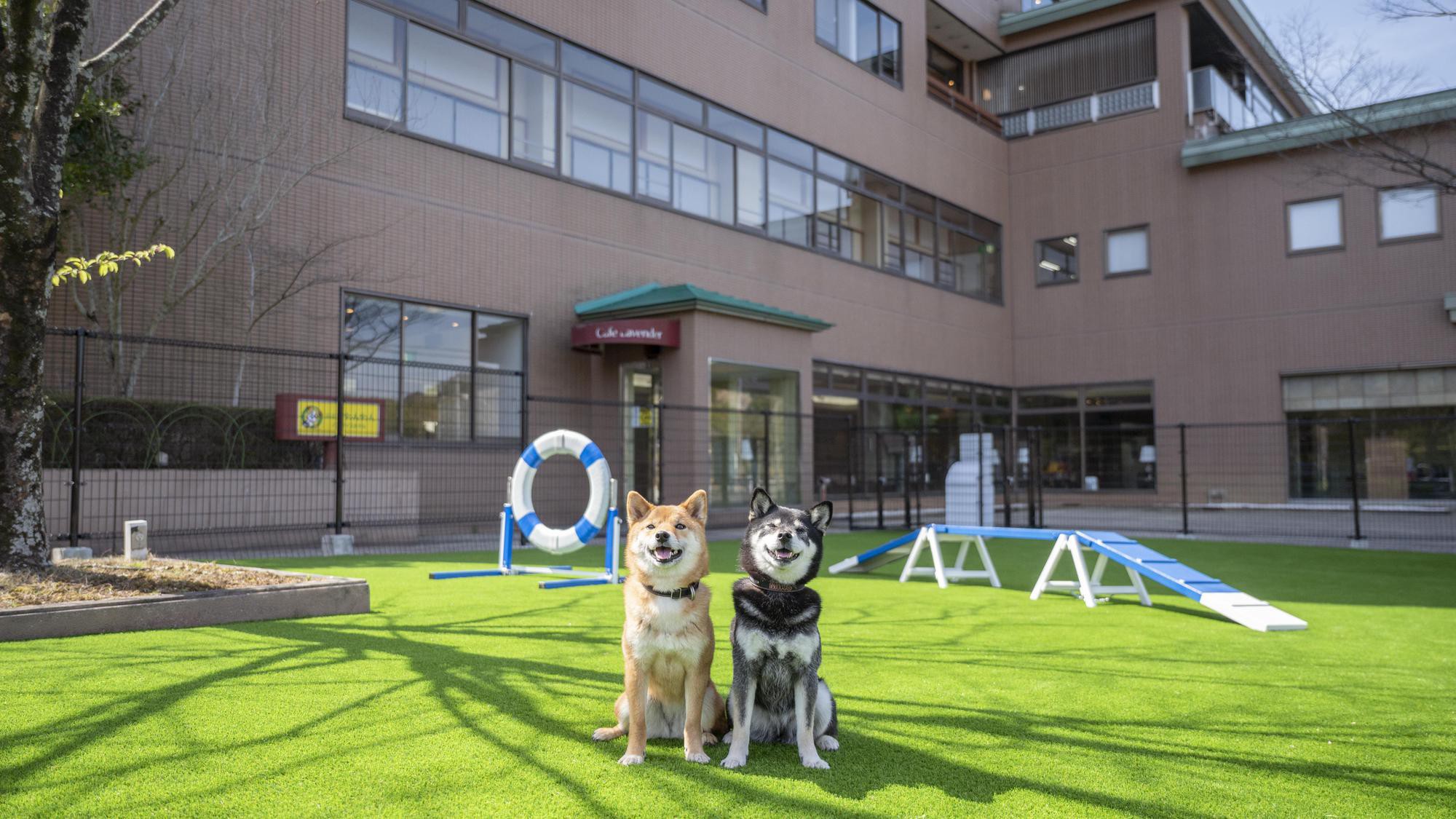 dog park ：利用イメージ