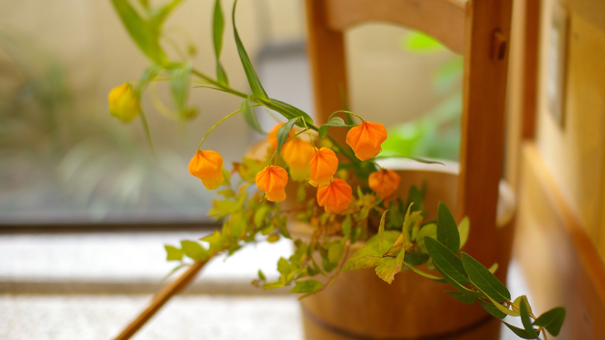 ・館内のお花