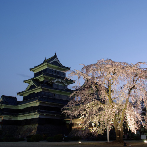 松本城