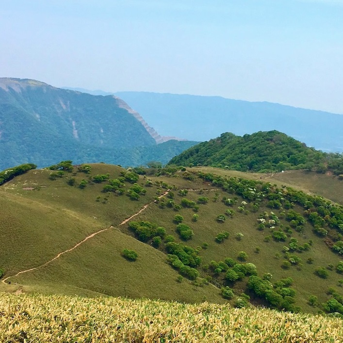 竜ヶ岳