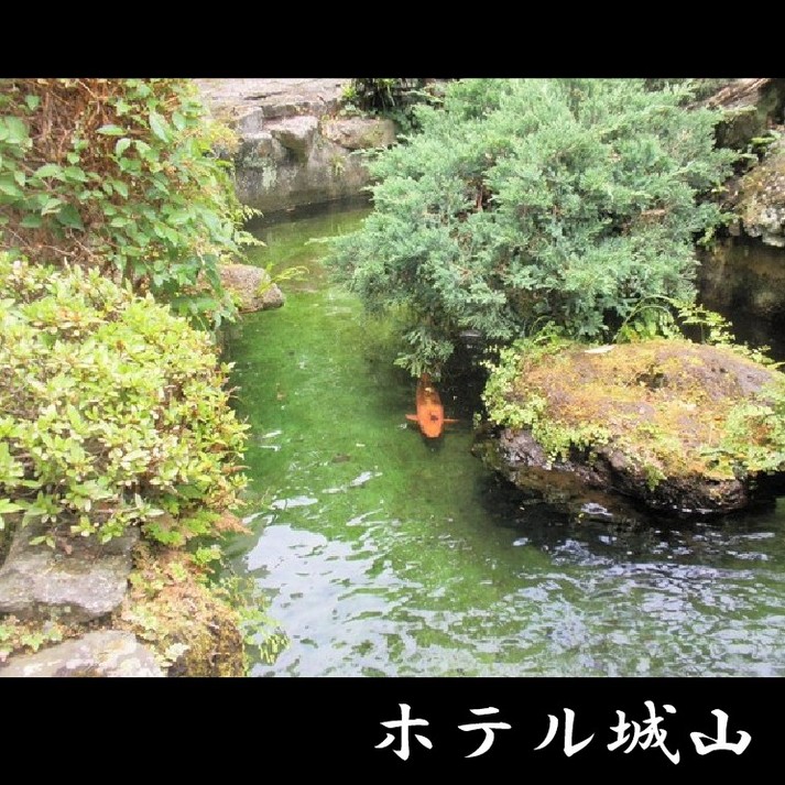 森林度假村湯河原溫泉城山飯店