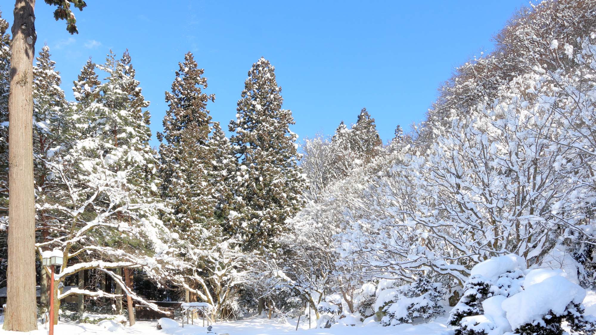 【庭園冬】全客室から雪景色をお楽しみいただけます