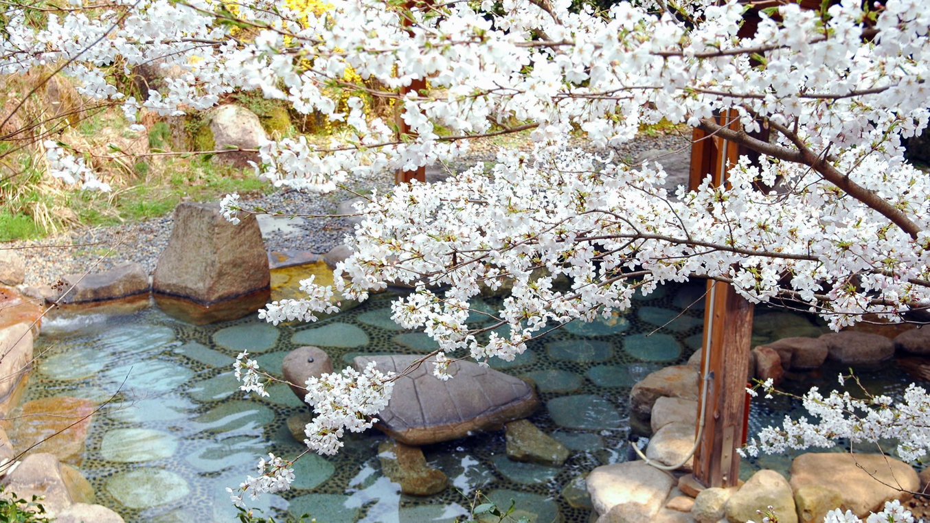 【大露天風呂春】春はお花見露天風呂が楽しめます。