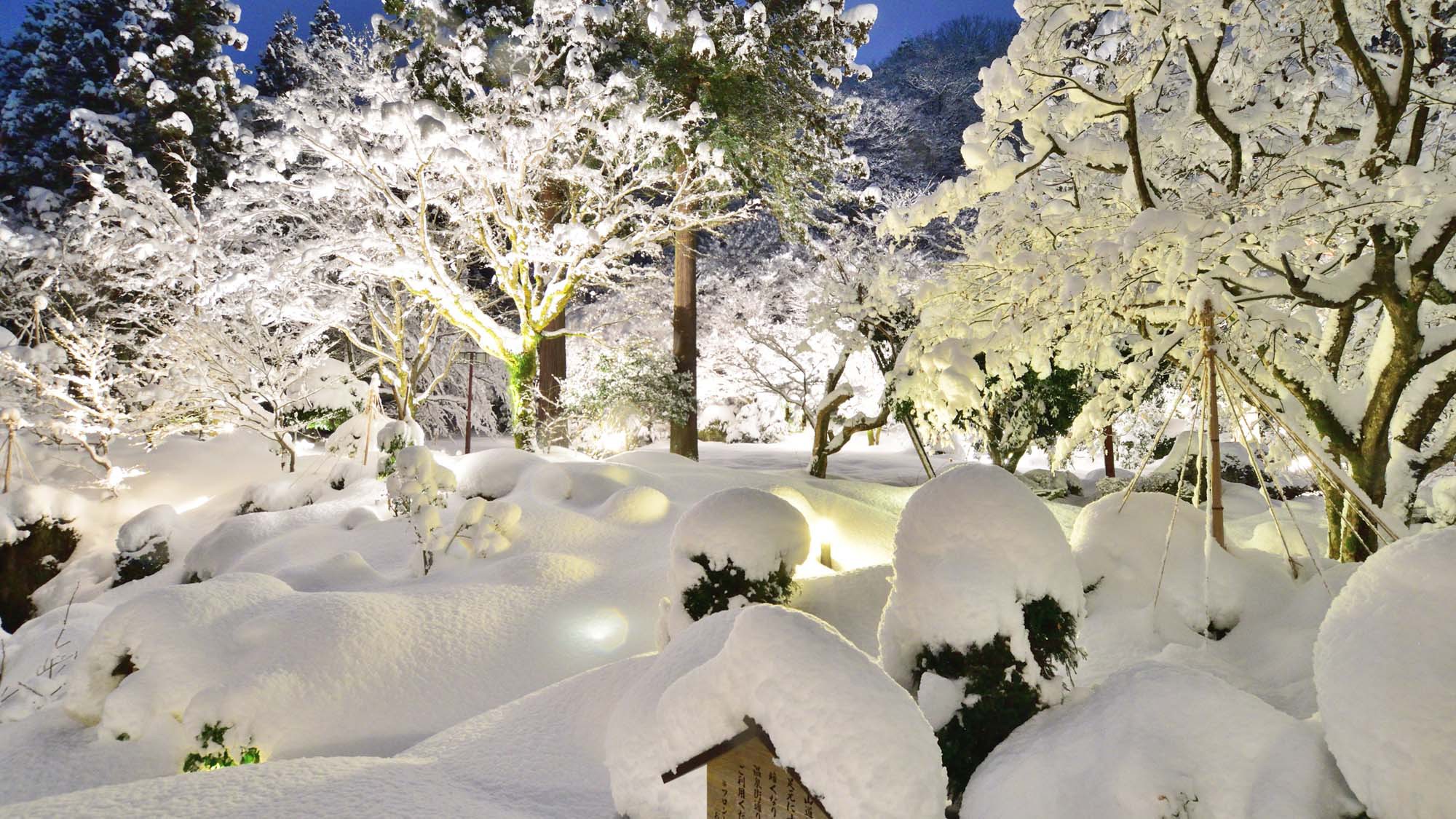 【庭園冬】ライトアップされた夜の庭園