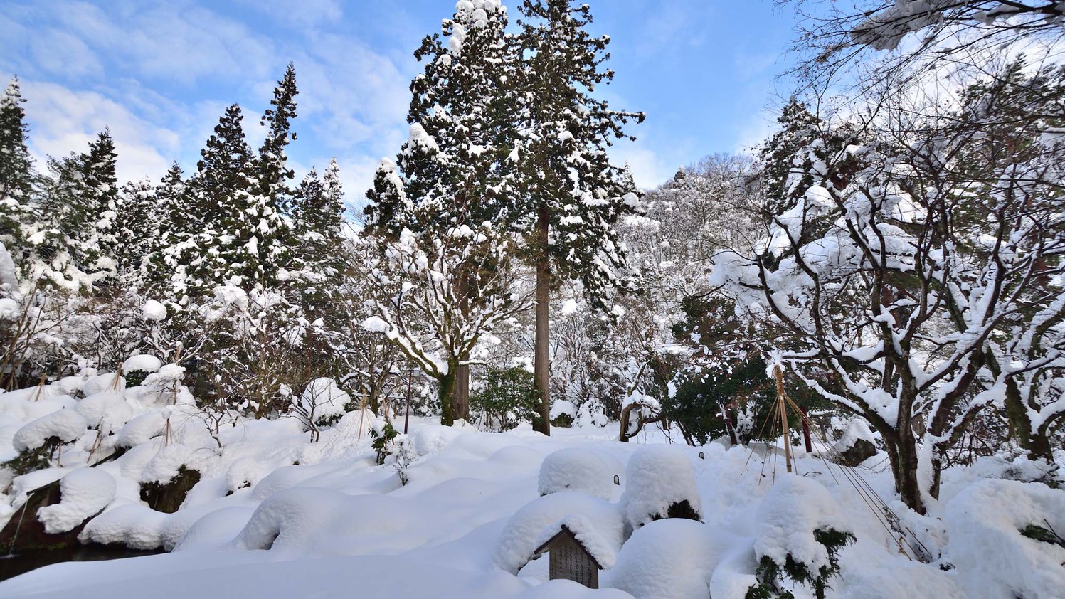 【庭園冬】真っ白な雪に覆われる冬の情景