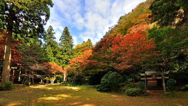 【庭園秋】四千坪の庭園は紅葉に彩られます