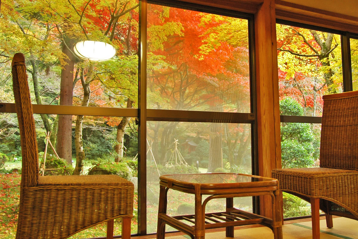 【離れ松涛亭】紅葉が窓を開けると目の前に広がります。