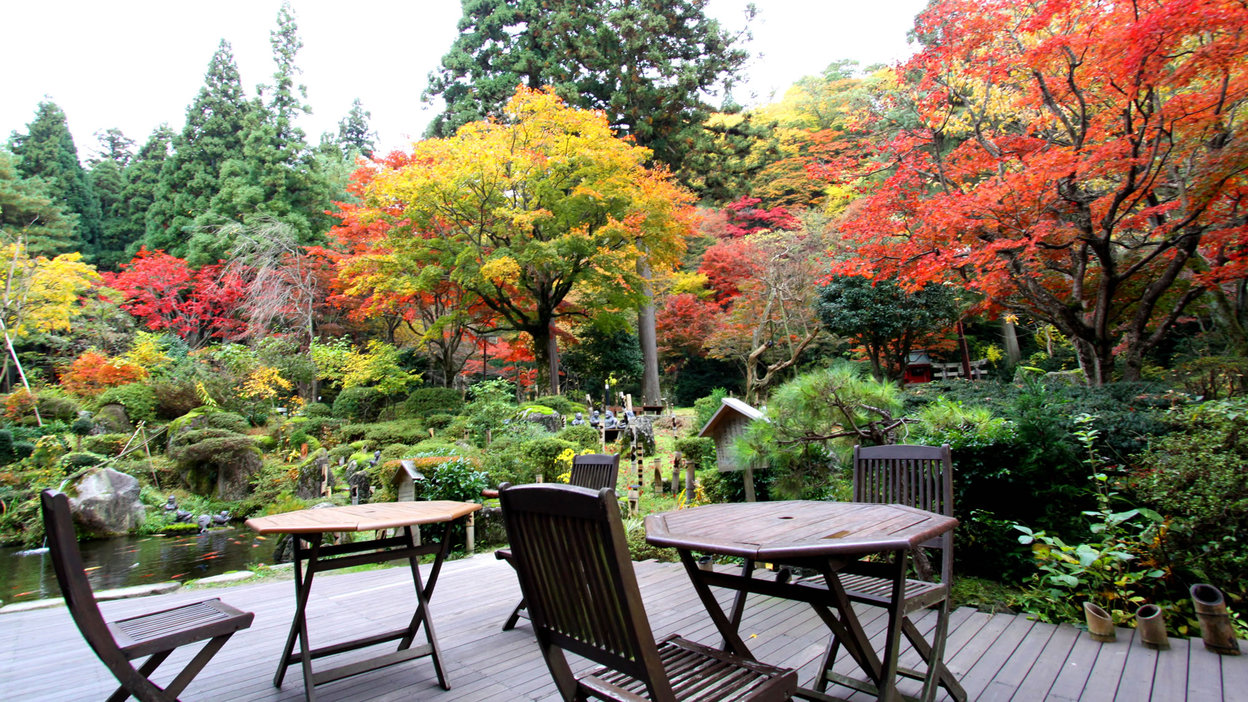 【庭園秋】11月上旬〜中旬頃が紅葉の見頃で御座います。