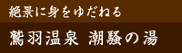 絶景に身をゆだねる 鷲羽温泉 潮騒の湯