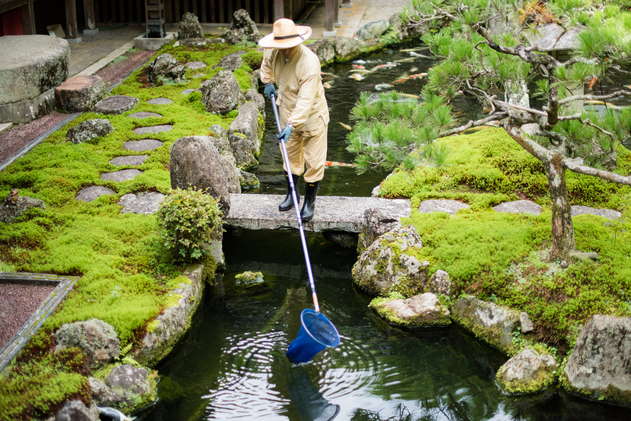 寺男