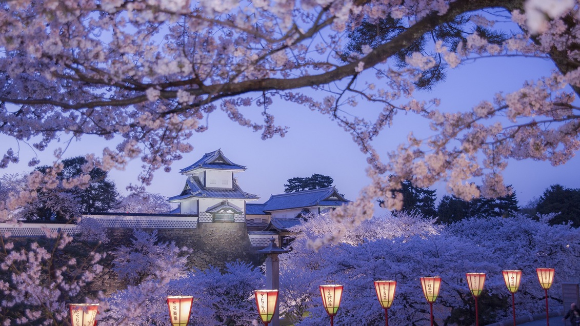 金沢城(春)
