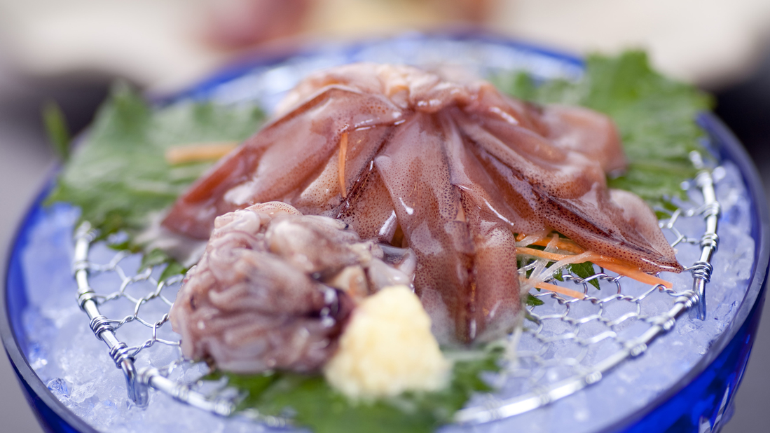 【春メニューホタルイカ刺身】富山の春の美味特に”;竜宮そうめん（ゲソの刺身）”;は珍味中の珍味です