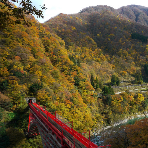 黒部峡谷の紅葉はモザイク柄が特徴で 毎年多くのお客様を魅了している富山県でも有数な紅葉スポットです