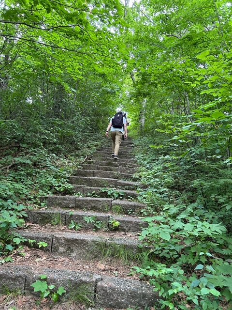 浅虫森林公園から展望台までの道のり